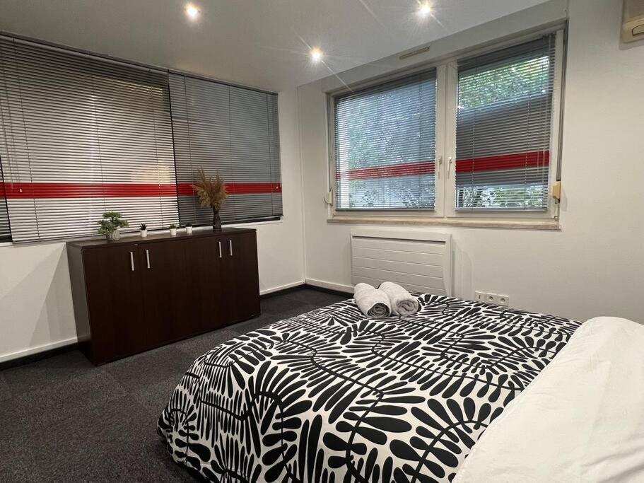 Charmant Appartement Strasbourg Apartment Strasbourg