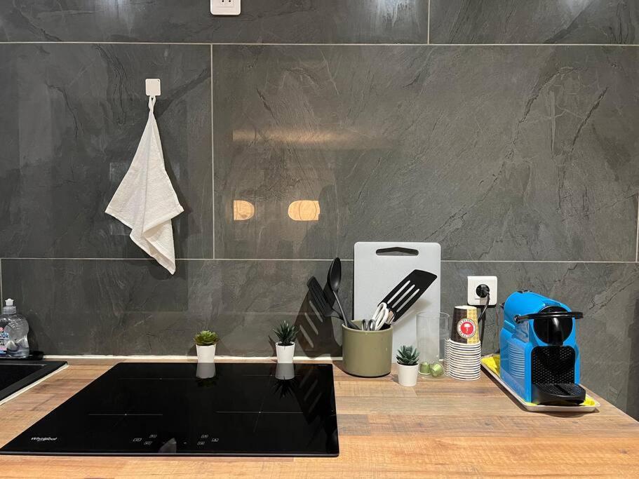 Appartamento Charmant Appartement Strasbourg Strasburgo